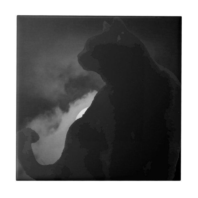 Silhueta de Lua Gato Preto (Frente)
