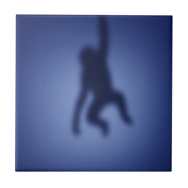 Silhueta do macaco (Frente)