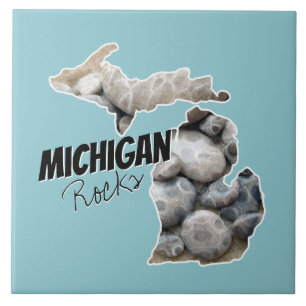Silhueta Michigan Preenchida Com Pedras De Petoske