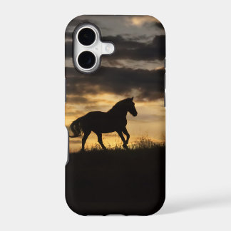 Silhueta Sunset Belo Cavalo Livre