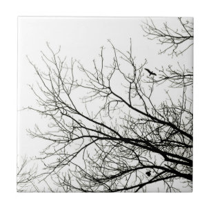 Silhuetas da árvore - azulejo