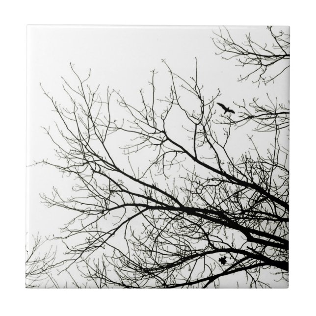 Silhuetas da árvore - azulejo (Frente)