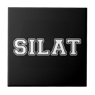 Silício