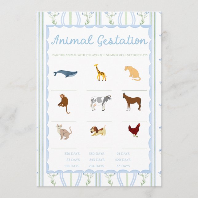 Silly Little Goose Baby Shower Games (Frente)