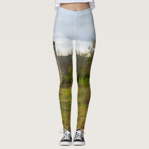 Silo Ainda Prende Leggings