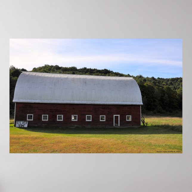 Silver Dome - Impressão (Frente)