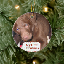 Silver Puppy Meus Primeiros Ornamentos de Foto de