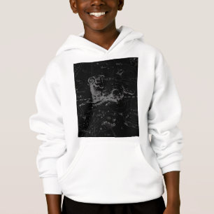 Símbolo Aries Constelação Hevelius cerca de 169