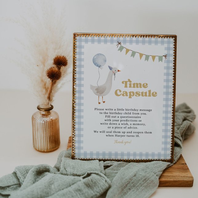 Símbolo de Cápsula de Gingham Azul, Ganso, Bobo (Criador carregado)