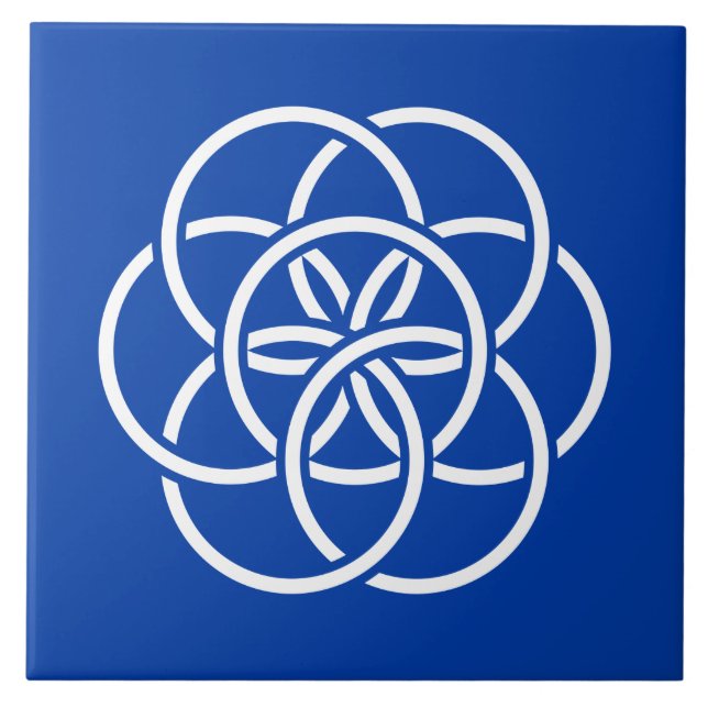 Símbolo Internacional do Planeta Terra (Frente)