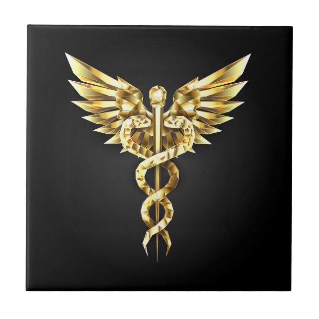 Símbolo Poligonal Dourado Caduceus (Frente)