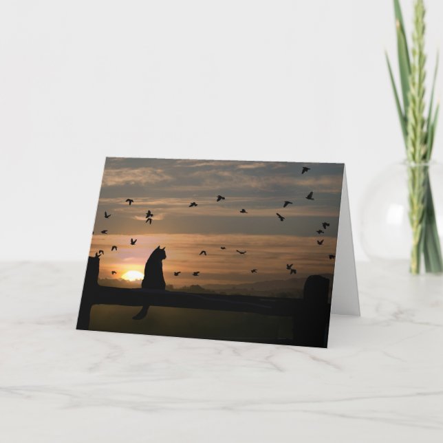 Simpatia Cat Perda de Cartão Cat (Frente)