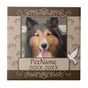 Simpatia feita sob encomenda do animal de