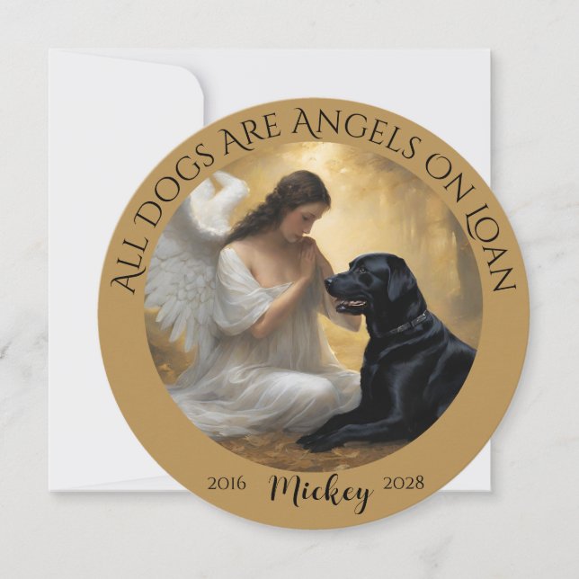 Simpatia pela perda do seu labrador negro (Frente)