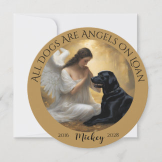 Simpatia pela perda do seu labrador negro