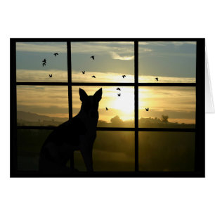 Simpatia por cães, perda de cartão de cão