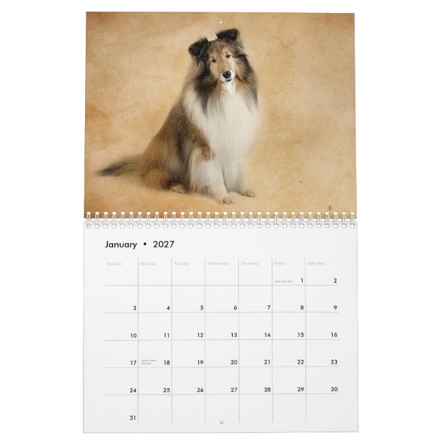 Simplesmente calendário de Shelties (Jan 2027)