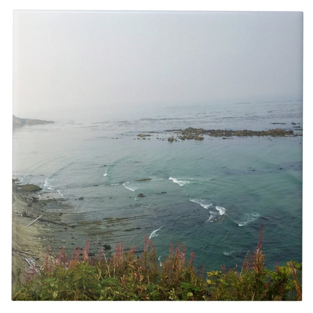 Simpson Reef Overlook, Oregon Coast (Frente)