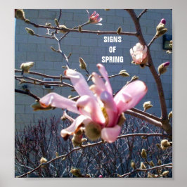 SINAIS DE PRIMAVERA poster