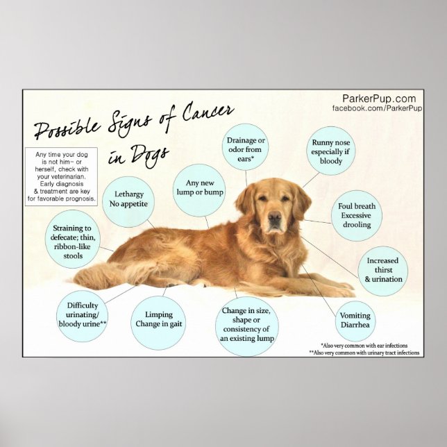 Sinais do Poster do Cancer (Frente)