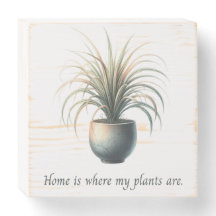Sinal de que casa é onde estão minhas plantas