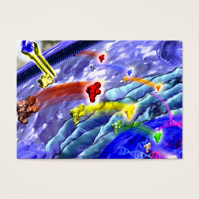 Sinalização de cartão de visita terrestre (Frente)