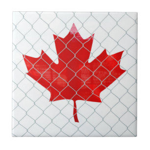 Sinalizador do Canadá por trás da cerca de liga