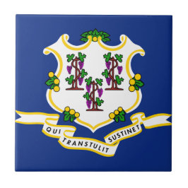 Sinalizador do Estado de Conexão