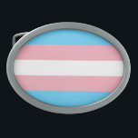 Sinalizador do Orgulho Transgênero<br><div class="desc">A Bandeira do Orgulho Transgênero foi criada pela trans americana Monica Helms em 1999, e foi mostrada pela primeira vez em uma parada de orgulho em Phoenix, Arizona, Estados Unidos em 2000. A bandeira representa a comunidade transgênero e consiste em cinco faixas horizontais: duas azuis-claras, duas cor-de-rosa e uma branca...</div>