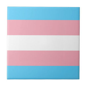 Sinalizador do Orgulho Transgênero
