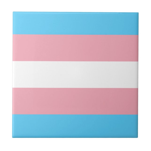 Sinalizador do Orgulho Transgênero (Frente)