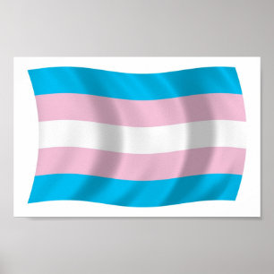 Sinalizador do Orgulho Transgênero Poster