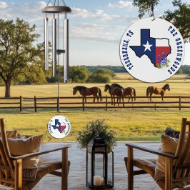 Sinalizador do Texas com destino a Bluebonnet do e