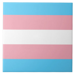 Sinalizador Trans Pride (Orgulho Transgênero)
