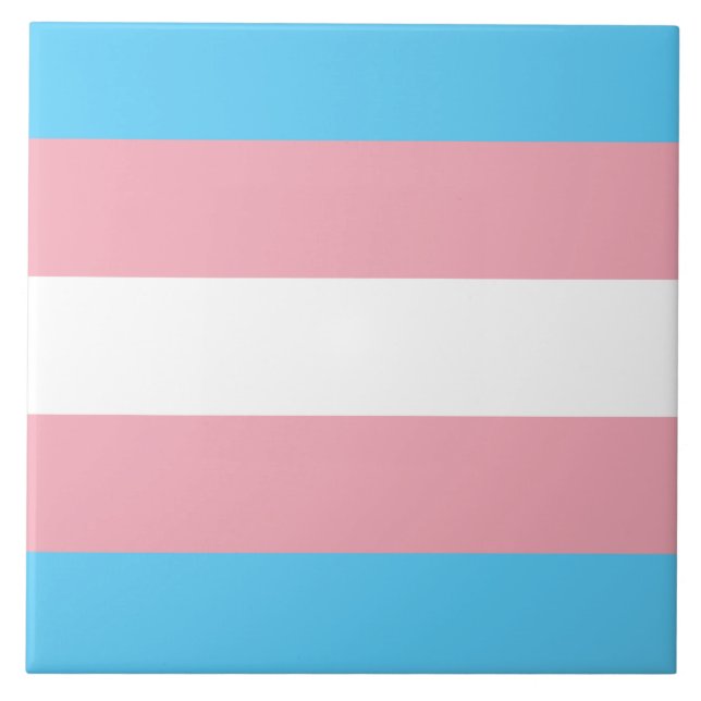 Sinalizador Trans Pride (Orgulho Transgênero) (Frente)