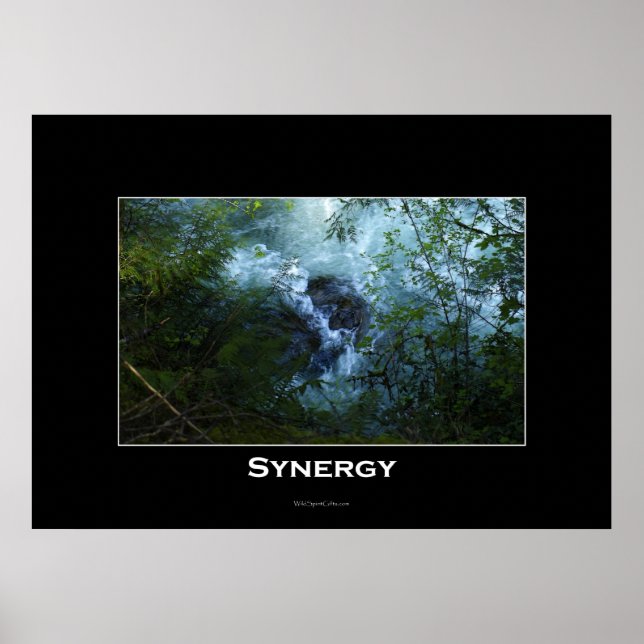 SINERGY Nature River Inspirational Poster (Frente)