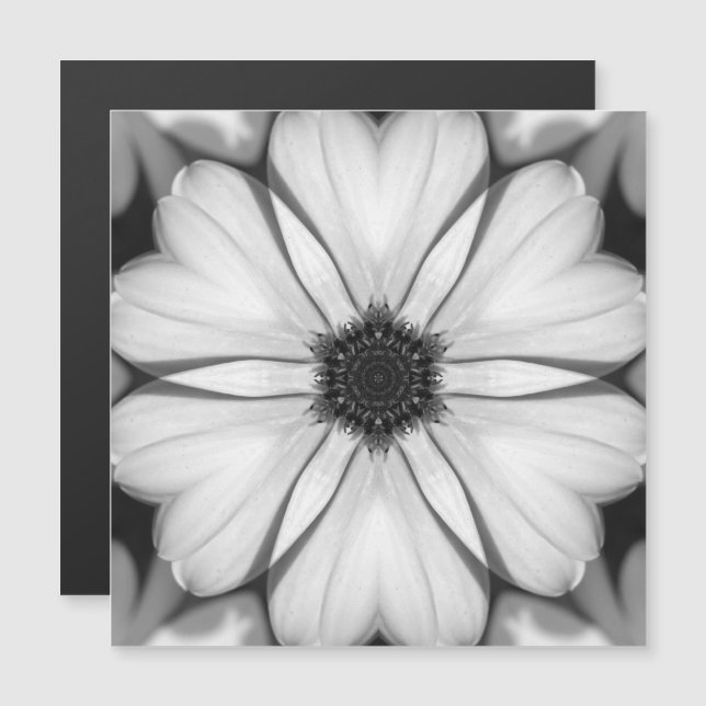 Sinfonia da placa magnética de Petals (Frente/Verso)