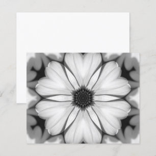 Sinfonia do Papel de Petalas