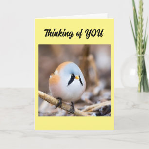 *SINTO SUA FALTA* QUERIA DIZER EM CARTÃO PESSOAL