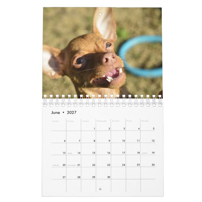 Sir Bardsley 2020 Calendário de Paredes (Jun 2027)
