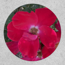 sistema Floral Vermelho greyforaday