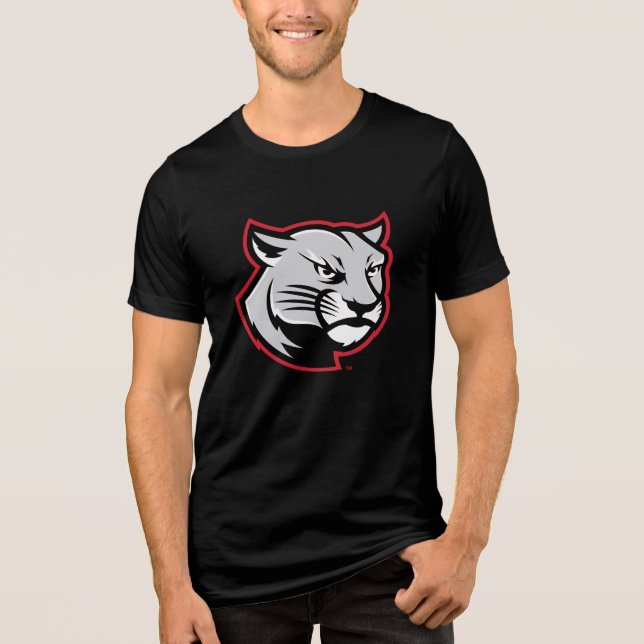 SIUE Cougars (Frente)