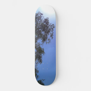 SKATE