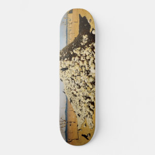 Skate A Apoteose da Guerra (por Vasily Vereshchagin)