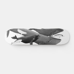 Skate A Natação De Baleias Ilustração Da Baleia De Arte