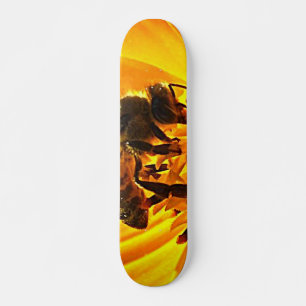 Skate Abelha numa Flor