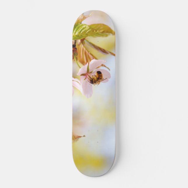 Skate Abelhas Em Uma Flor De Cereja (Frente)
