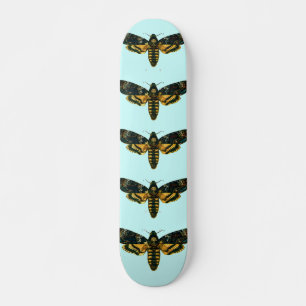 Skate Acherontia atropos (Hawkmoth Chefe da Morte)