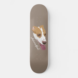 Skate Adora-Bull Pitbull Terrier Mix