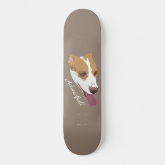 Skate Adora-Bull Pitbull Terrier Mix